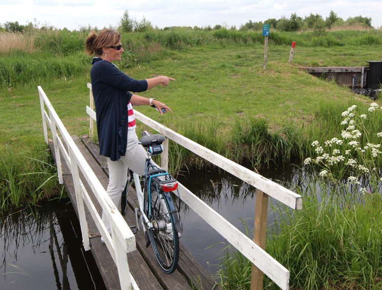Fiets- en wandelpaden zijn met bruggetjes verbonden