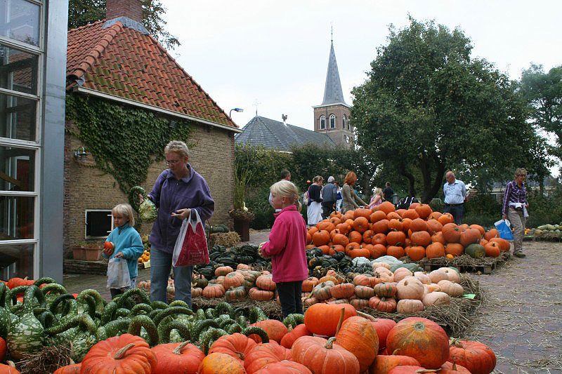 Een sfeervolle en bijzondere najaarsmarkt treft u aan tijdens het jaarlijkse Pompoenfestival in Jellum.