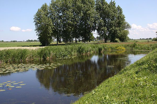 De landelijke omgeving van Dokkum. Foto: Fokko Bosker.