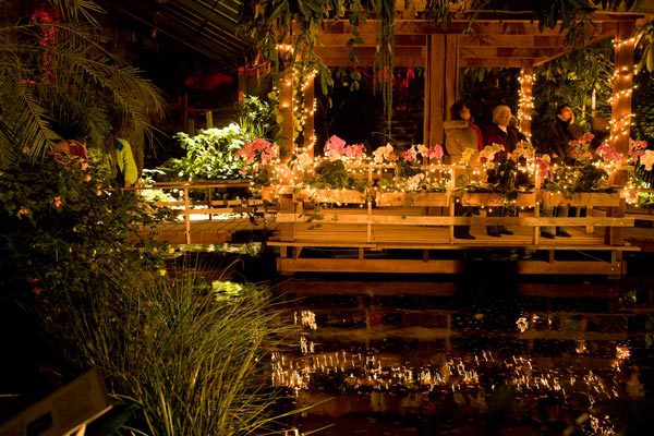 Kerst in de Vlinder Vallei van De Orchideeënhoeve.