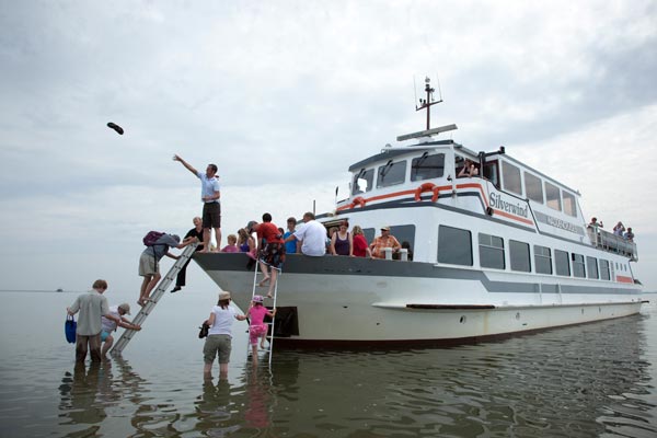 Camping en recreatiecentrum Lauwersoog organiseert robbentochten met de Silverwind.