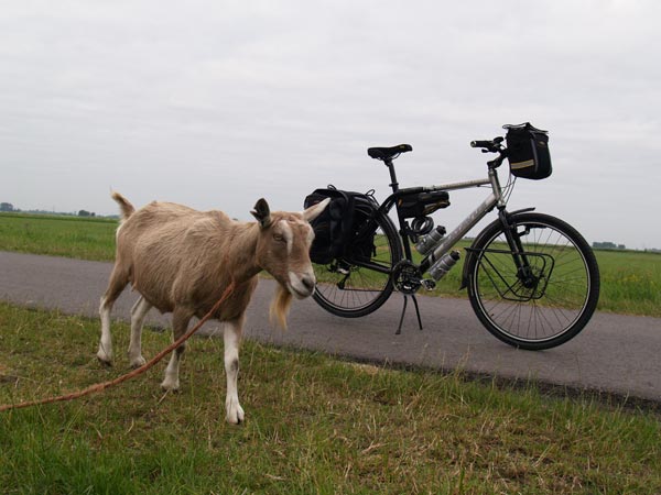 Fietsen in de Tjongervallei in de gemeente Skarsterlân in de omgeving van Rotstergaast op de traject Wolvega-Heerenveen. Dit is een onderdeel van de Romantische Route in Oost-Friesland.