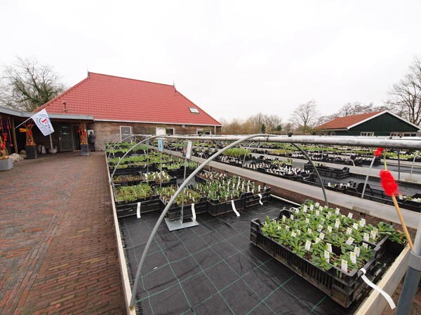 Passie voor planten en bloemen in De Kruidhof.