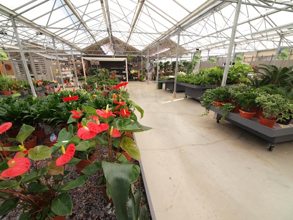 Een impressie van het tuincentrum in aanbouw.