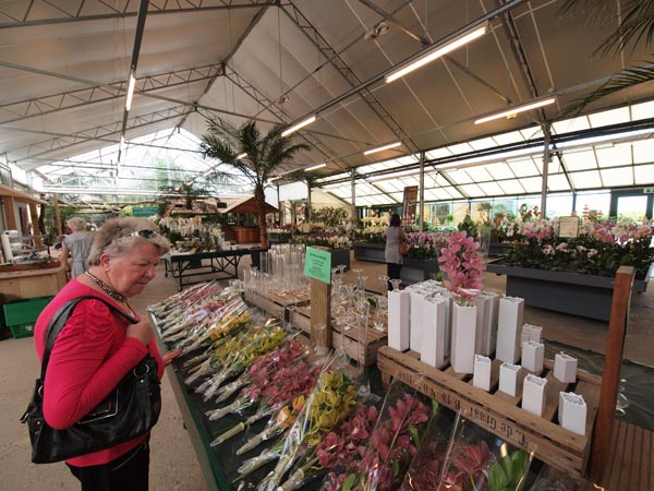 Een impressie van het tuincentrum in aanbouw.