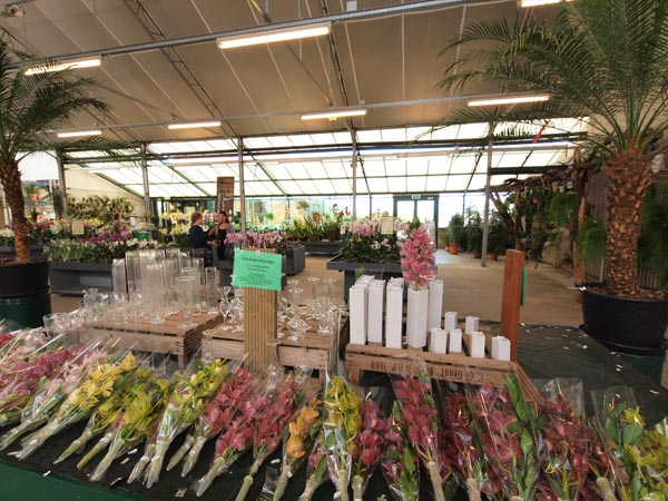 Een impressie van het tuincentrum in aanbouw.
