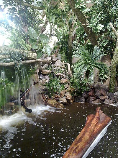 Amazona in Aqua Zoo Friesland