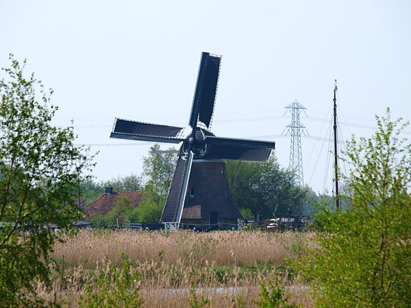 De molen is uitgerust met een Oudhollands gevlucht, lengte van de roeden: 20,10 m en een Vlaamse vang met duim. De overbrengverhouding wiekenkruis/houten vijzel is bijna 1:2. Voor meer details zie https://www.friesnieuws.nl/2199