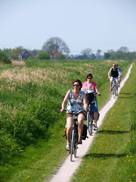 De Rietvink is te voet, per fiets en boot bereikbaar vanaf de bruggen over de Helomavaart in Oldelamer (draaibrug) en Nijetrijne (brug in de Pieter Stuyvesantweg, route Wolvega-Kuinre).