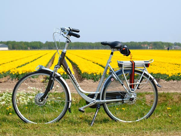 De reisorganisatie van het bureau voor toerisme Friesland Holland, Friesland Holland Travel, verhuurt nieuwe luxe e-bikes van Gazelle, zoals de Chamonix Xtra Innergy en de Orange Excellent Innergy (foto).