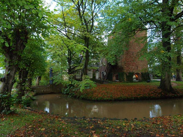 De Schierstins