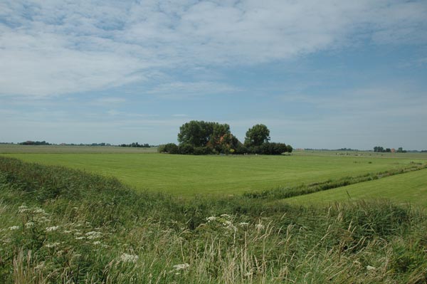 Greonterp