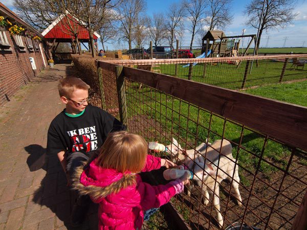 Boereiis is ook een beetje een kinderboerderij.