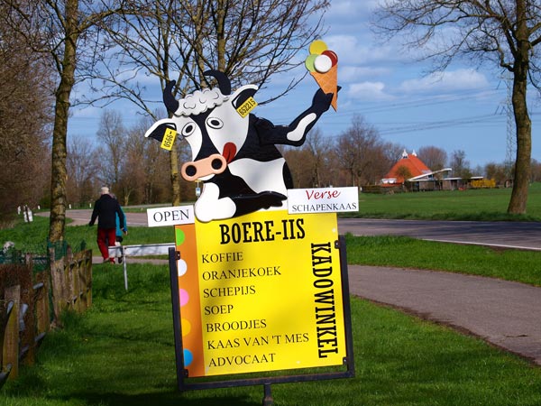 Deze lokkoe tussen Terherne en Akkrum kun je niet over het hoofd zien. Hier is Jinshúzen 2.