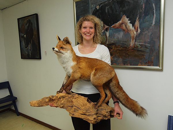 Karin Kamstra van het maart 2012 gesloten Natuurmuseum in Dokkum gaat aan de slag in SanjesZoo. Ze neemt de collectie van Natuurmuseum Dokkum mee naar De Westereen (Zwaagwesteinde).