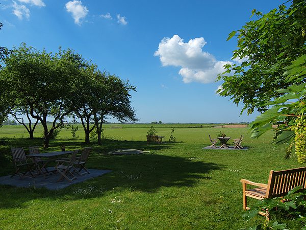 Weidumerhout - Weidum