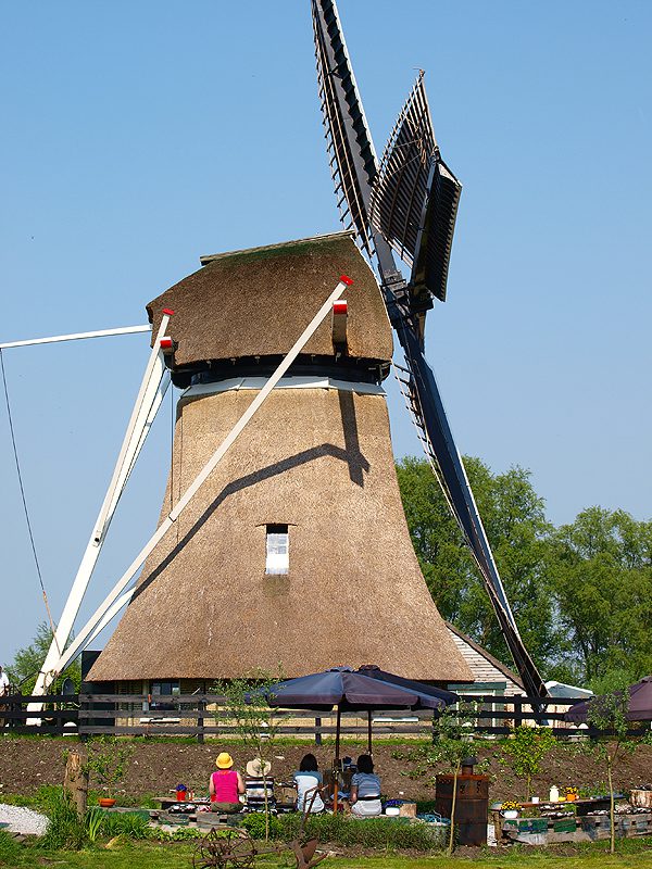 Poldermolen en theetuin De Rietvink.