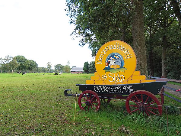 Niet biologisch, maar wel van hoge kwaliteit, rijk aan uiteenlopende smaken én voedzaam: kazen van kaasboerderij De Stelp in Oldeberkoop.