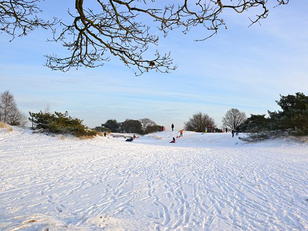 Heuveltje op, heuveltje af, het kan op het Aeckingerzand, de Kale Duinen bij Appelscha.