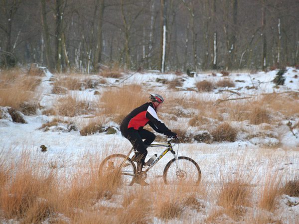 Mountainbikers jakkeren graag op het terrein van Boswachterij Appelscha van Staatsbosbeheer. De route door de bossen en heideveleden en over zandduinen kreeg drieënhalve ster van de sportfietsers die geregeld hun waarderingen plaatsen op www.mtbroutes.nl