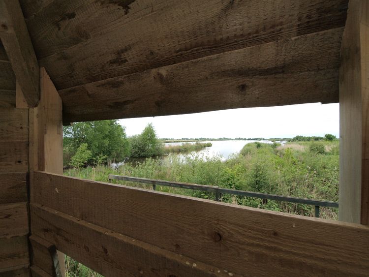 De vogelijkhut bij de Brandemeer in de polder van Oldelamer