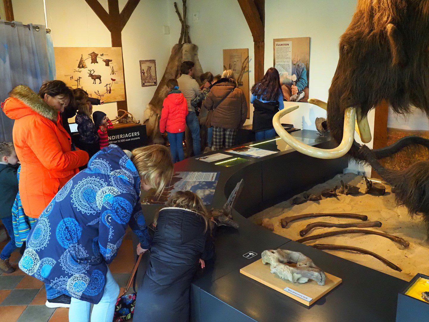 Mammoet in museum
