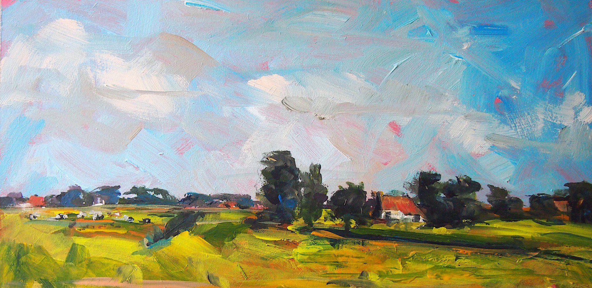 Fries landschap in de zomer