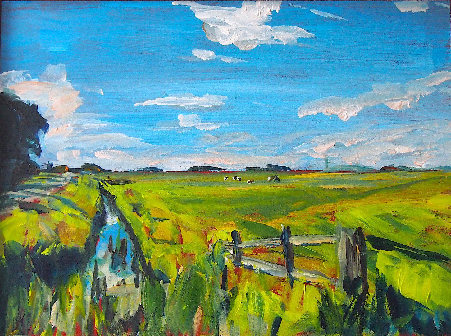 Het Friese platteland in de zomer met boerderij