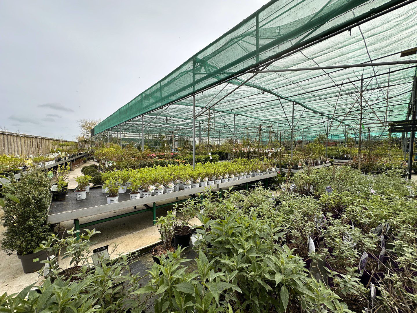 Groencentrum Witmarsum