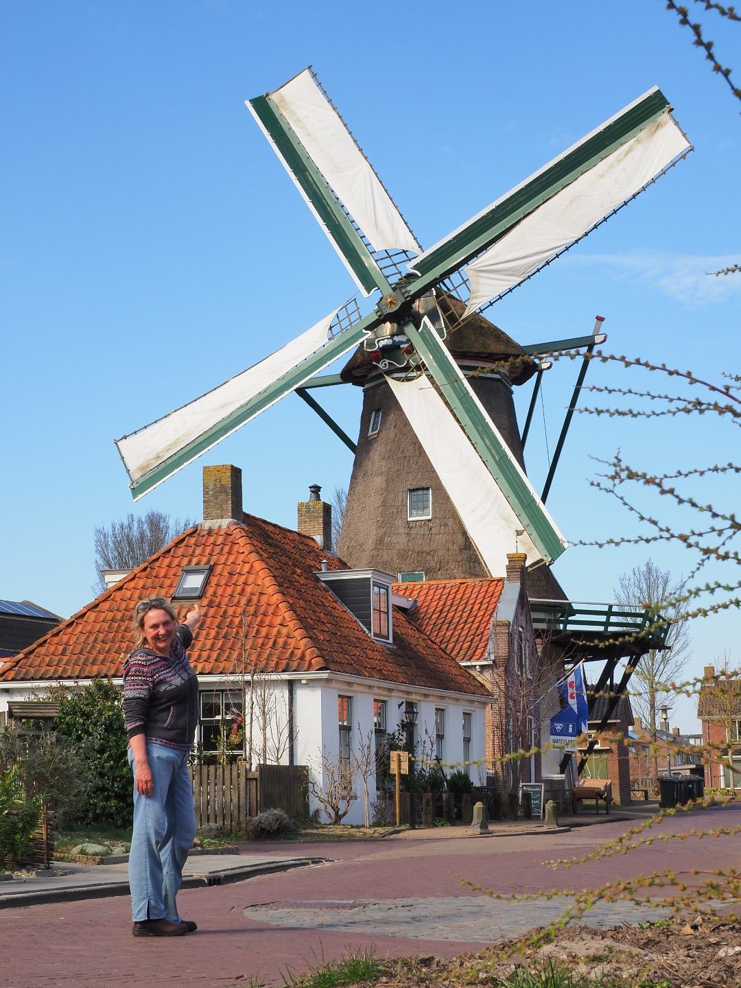 Molen