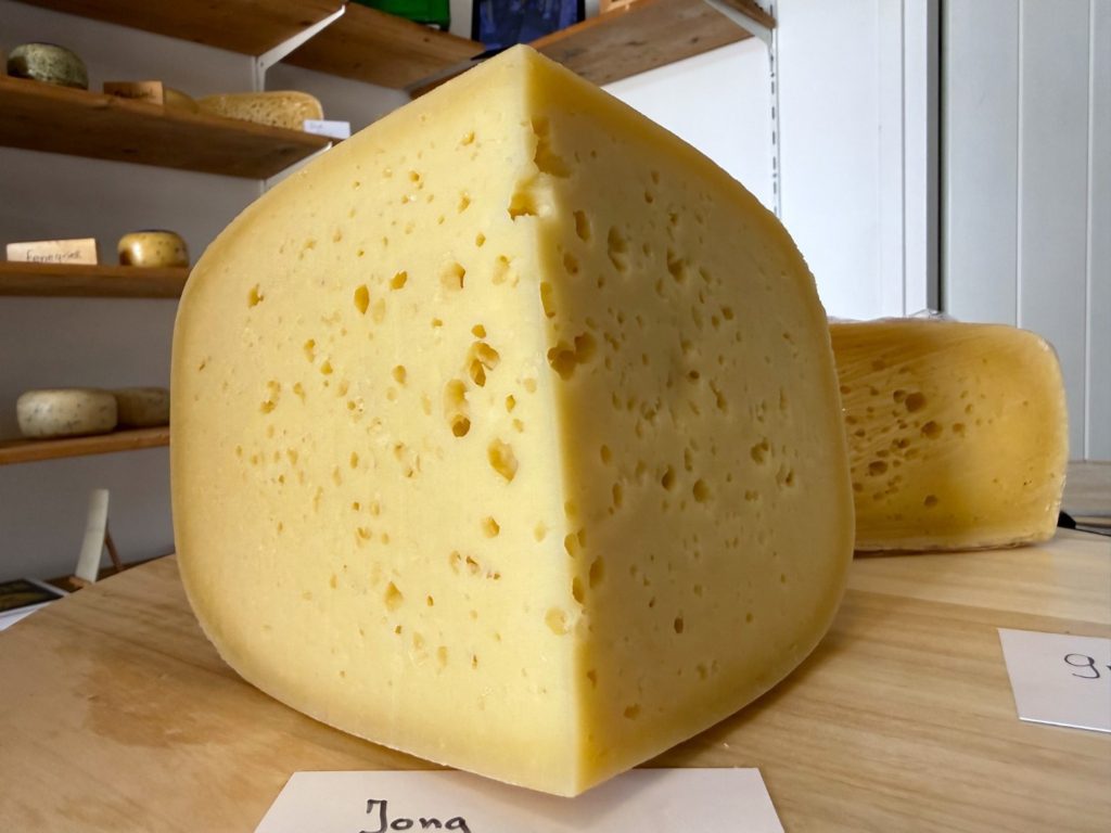 Bestseller: jonge kaas van De Zeven Koeien.