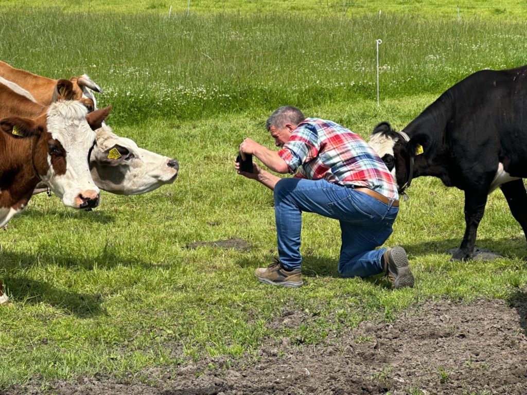 Groningse blaarkoppen